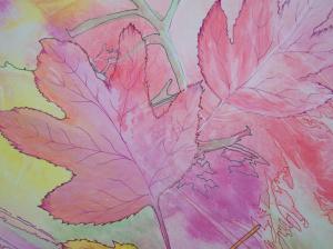 spiritual meaning of Pinks by Carol Nemitz